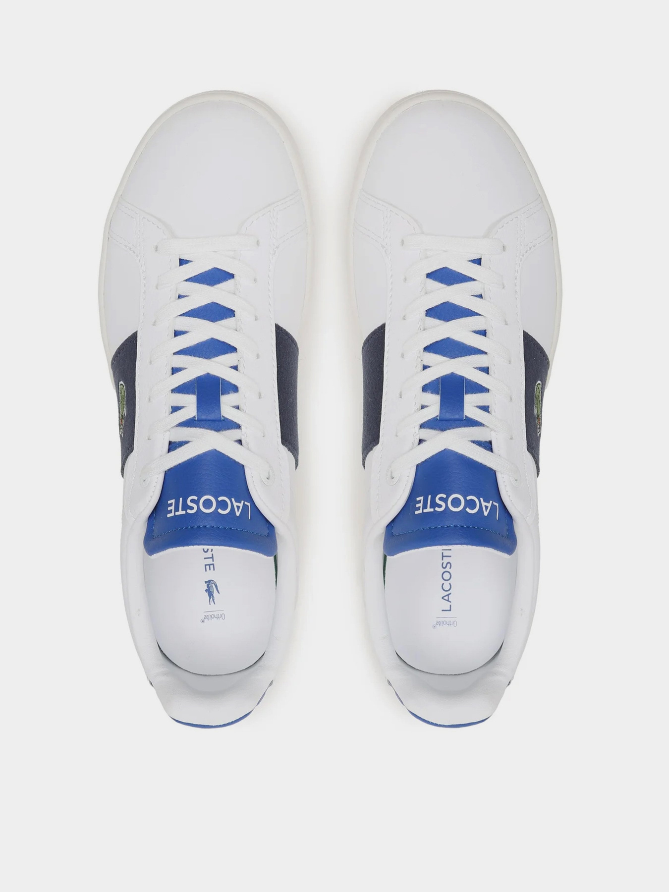 Кеды низкие Lacoste Carnaby Pro Cgr 123 1 Sma модель 745SMA0022X96 Фото