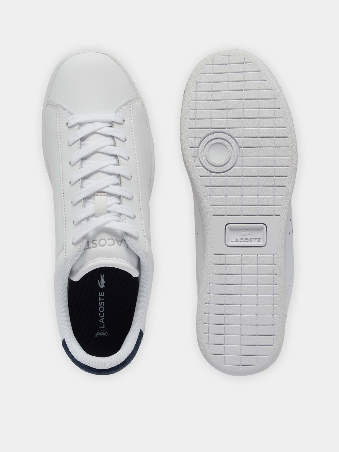 Кеди низькі Lacoste Carnaby модель 748SMA0011042 Фото