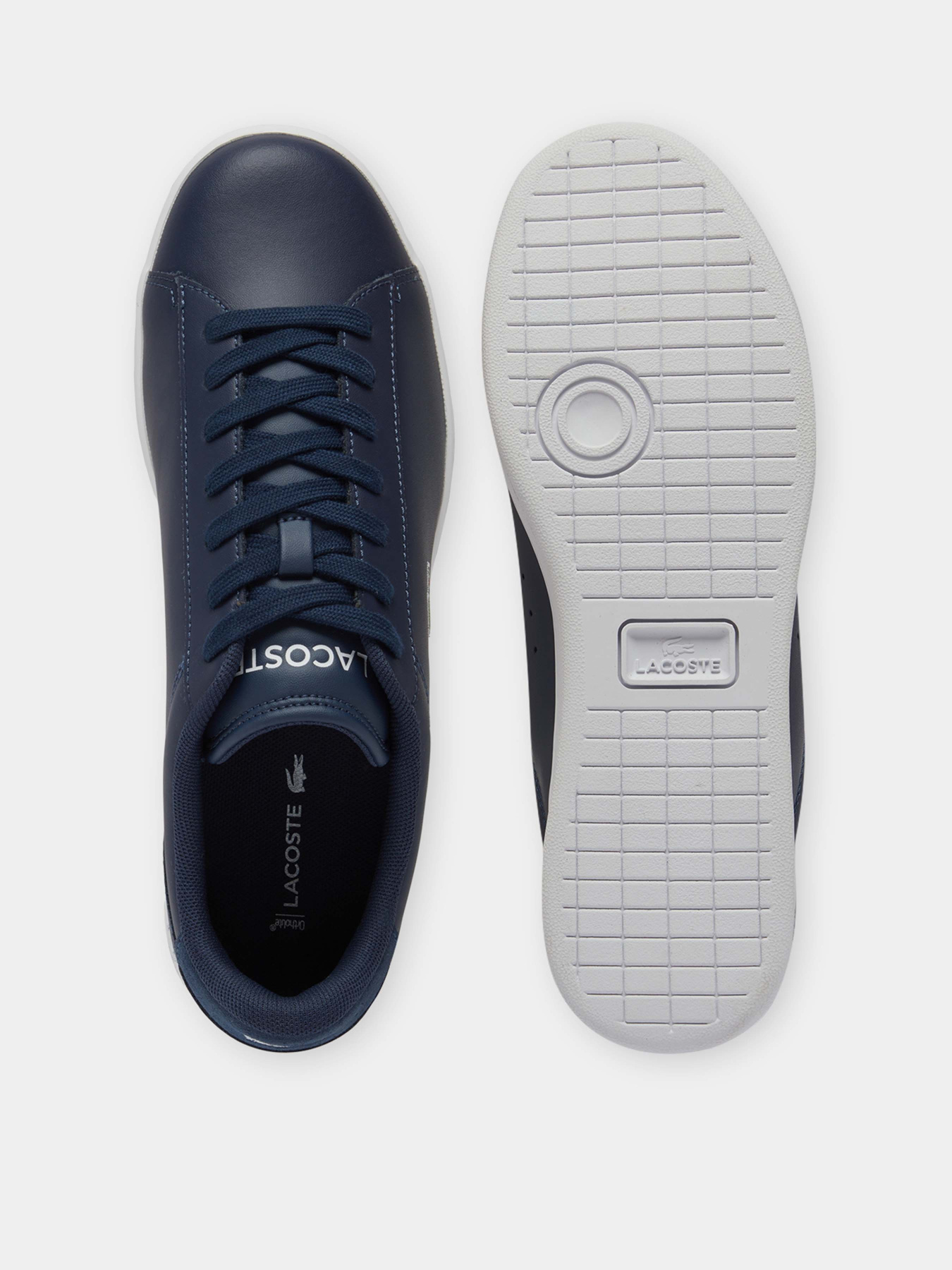 Кеди низькі Lacoste Carnaby модель 748SMA0011092 Фото