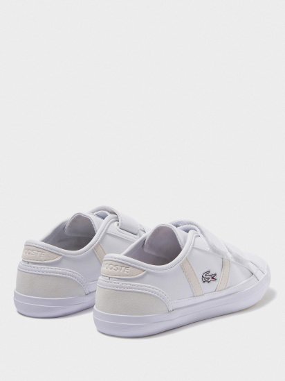 Кеди низькі Lacoste Sideline 120 2 CUC модель 739CUC002065T — фото - INTERTOP