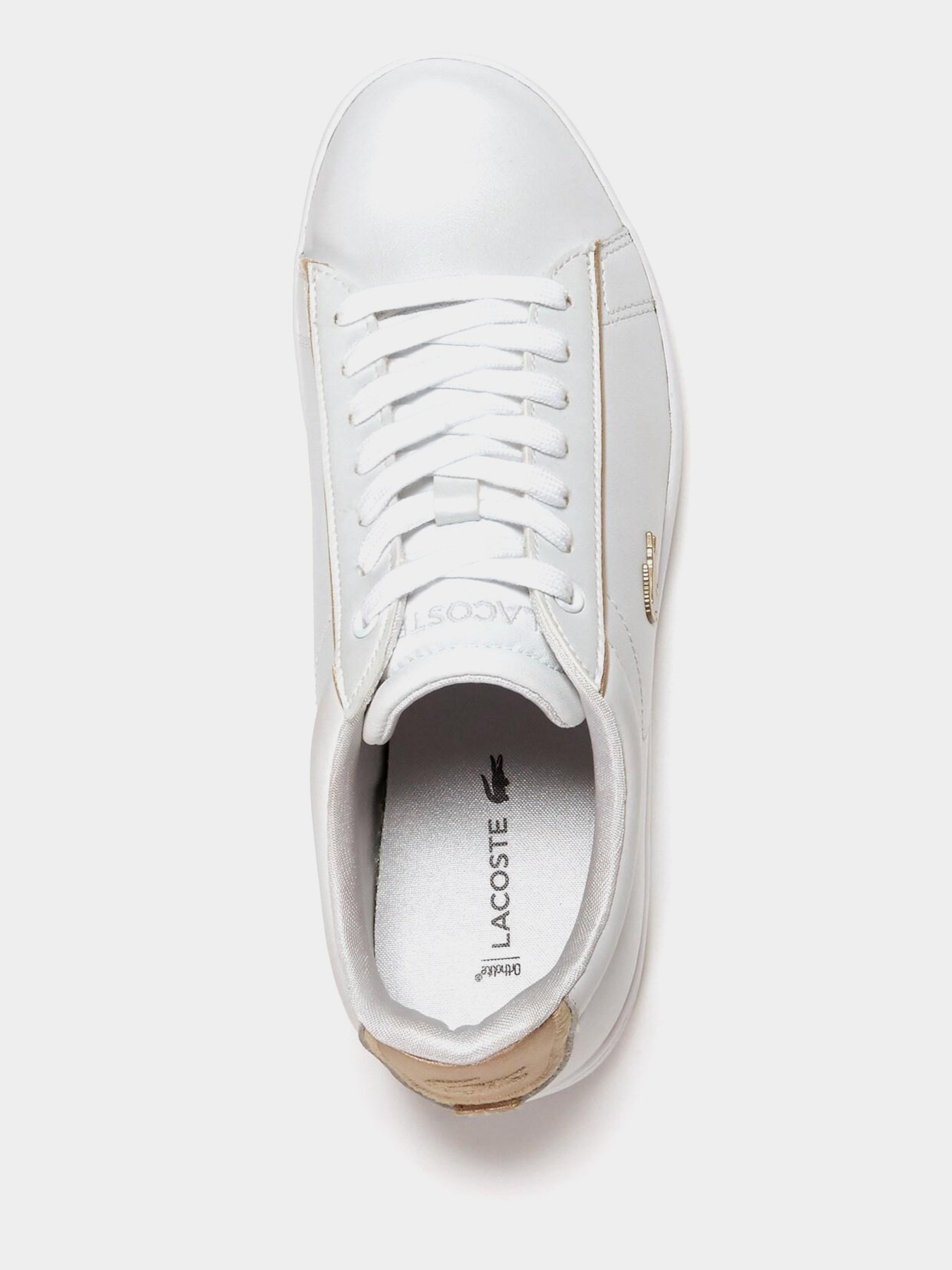 Кеды низкие Lacoste Carnaby Evo модель 735SPW0013216 Фото