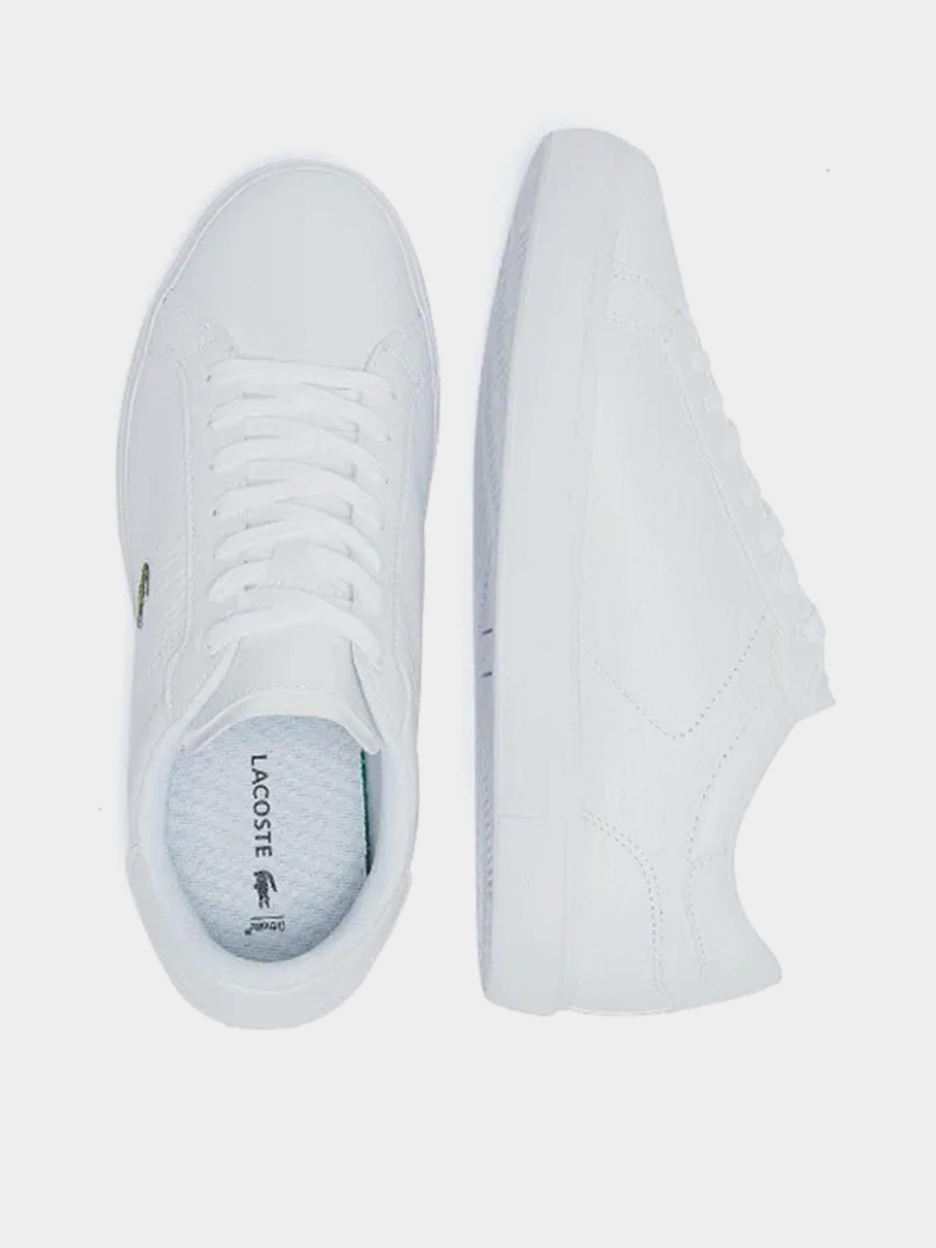 Кеди низькі Lacoste Powercourt 222 модель 741SFA004821G Фото