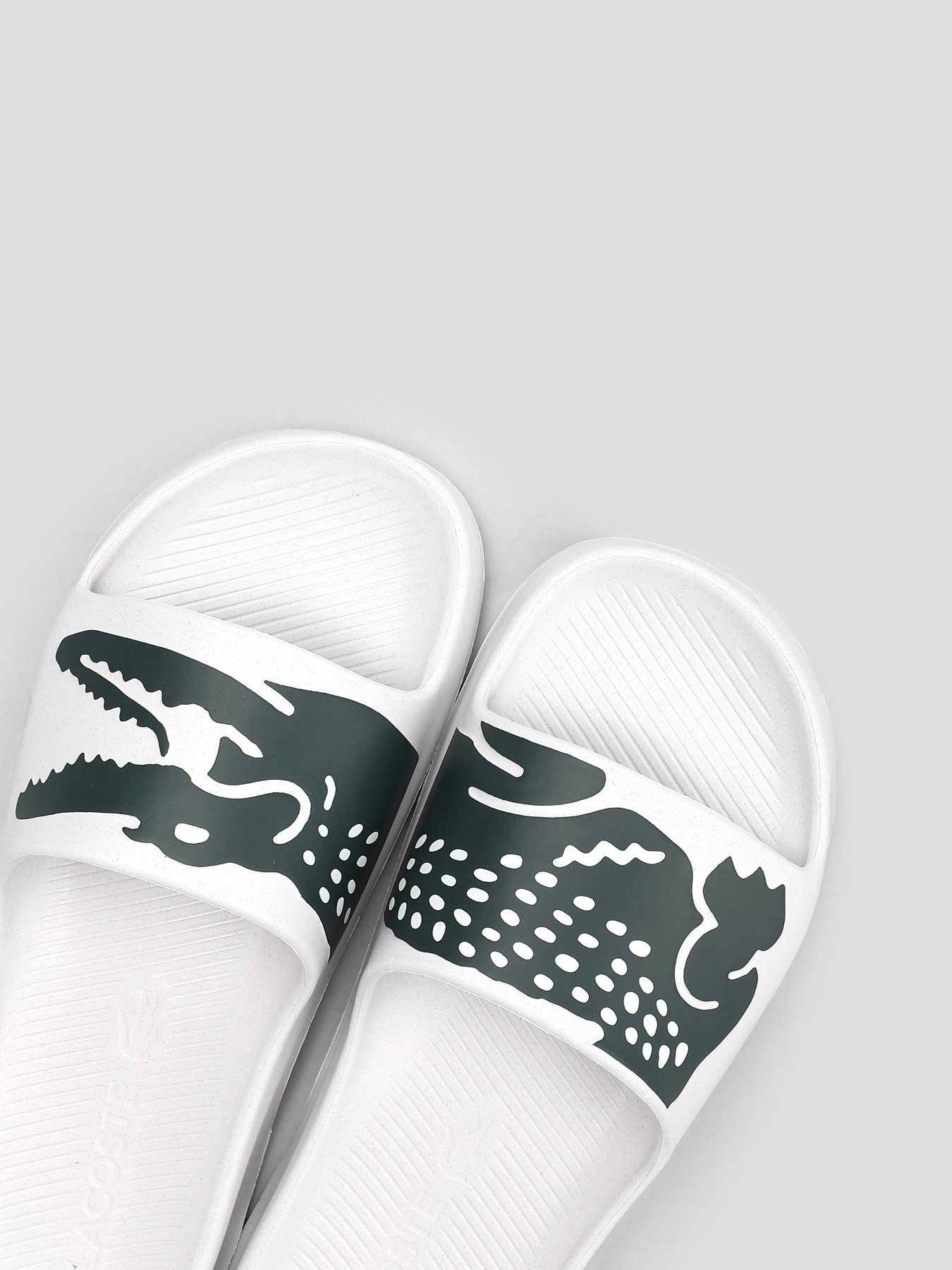 Шлепанцы Lacoste CROCO 2.0 модель 741CFA00351R5 Фото