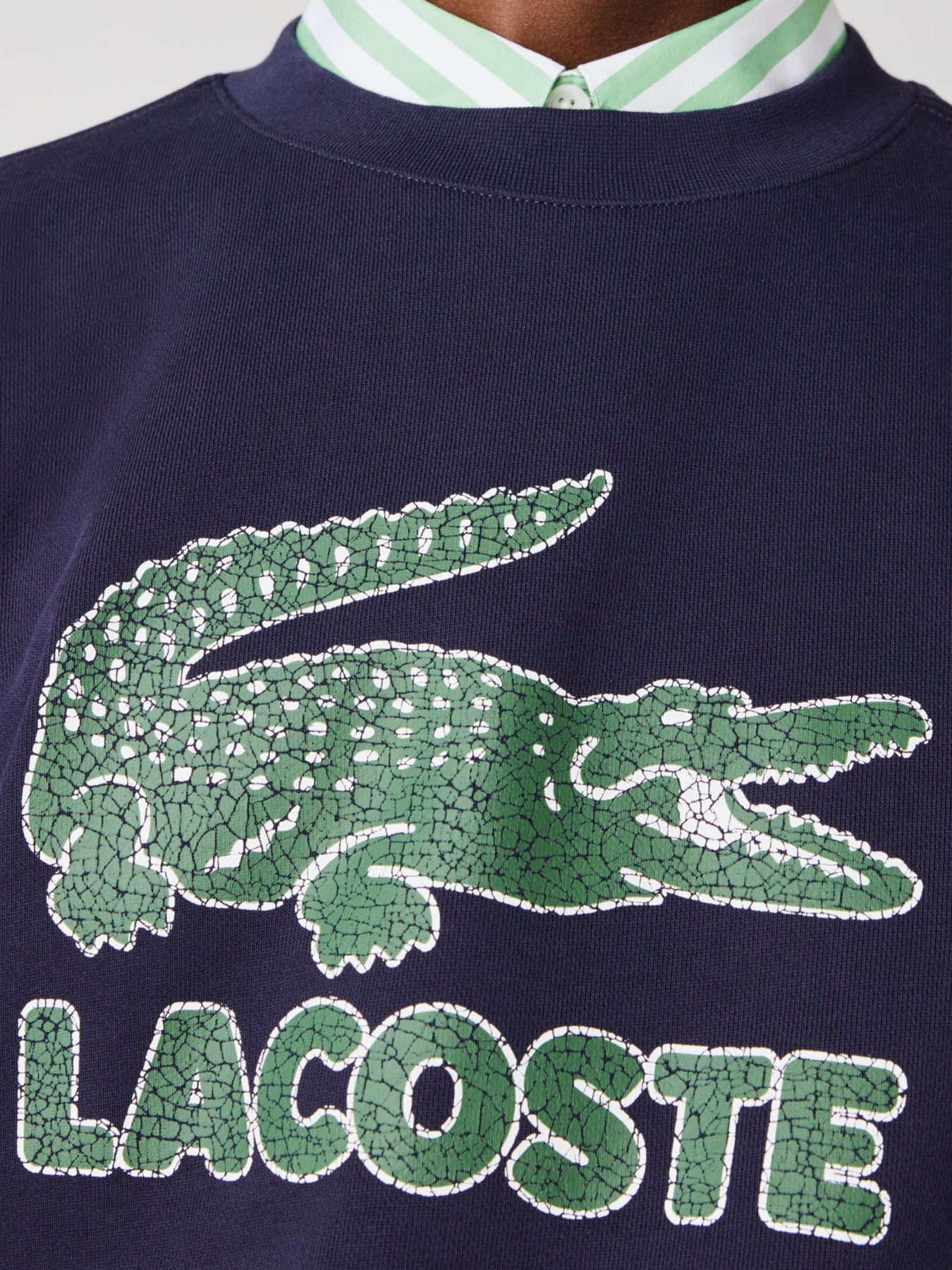 Свитшот Lacoste модель SH0065166 Фото