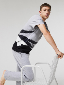 Футболки і поло Lacoste модель TH7635EJ7 Фото