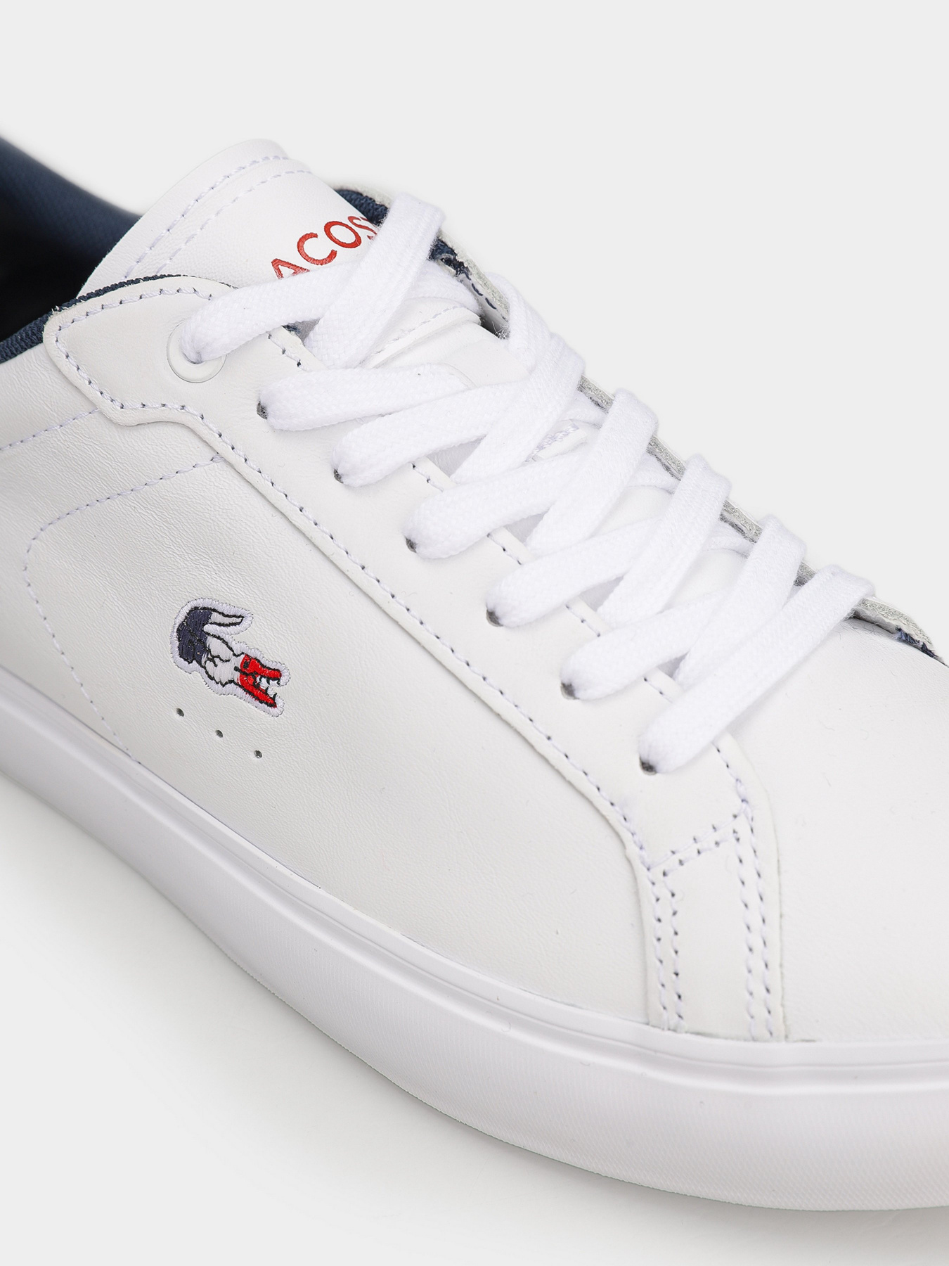 Кеди низькі Lacoste модель 743SFA0030407 Фото