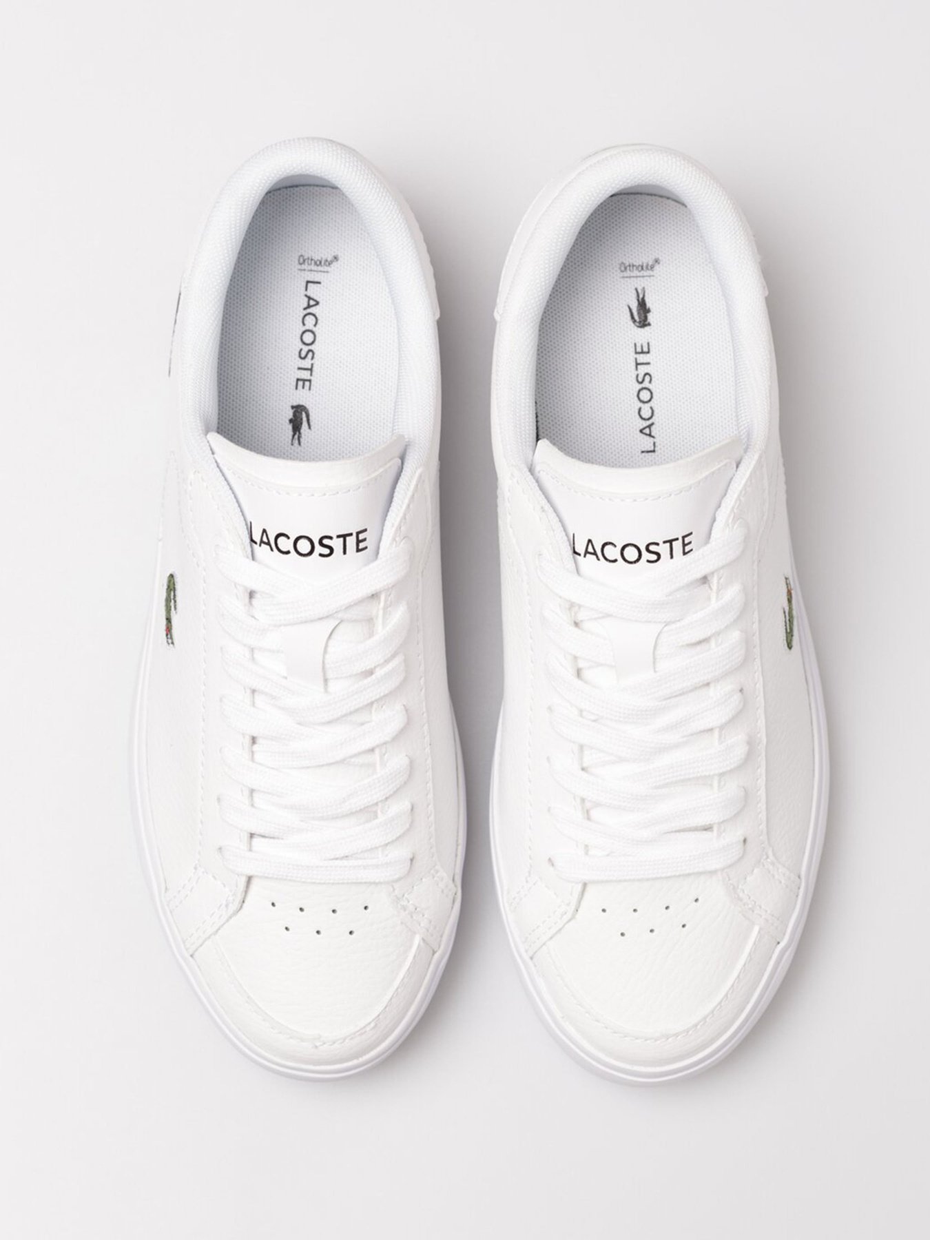 Кеди низькі Lacoste Powercourt 222 модель 744SFA0077147 Фото