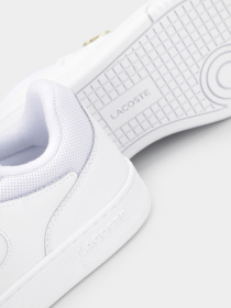 Кеды низкие Lacoste LINESET модель 747SFA0083216 Фото