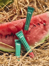 LIPSS модель L49 Фото