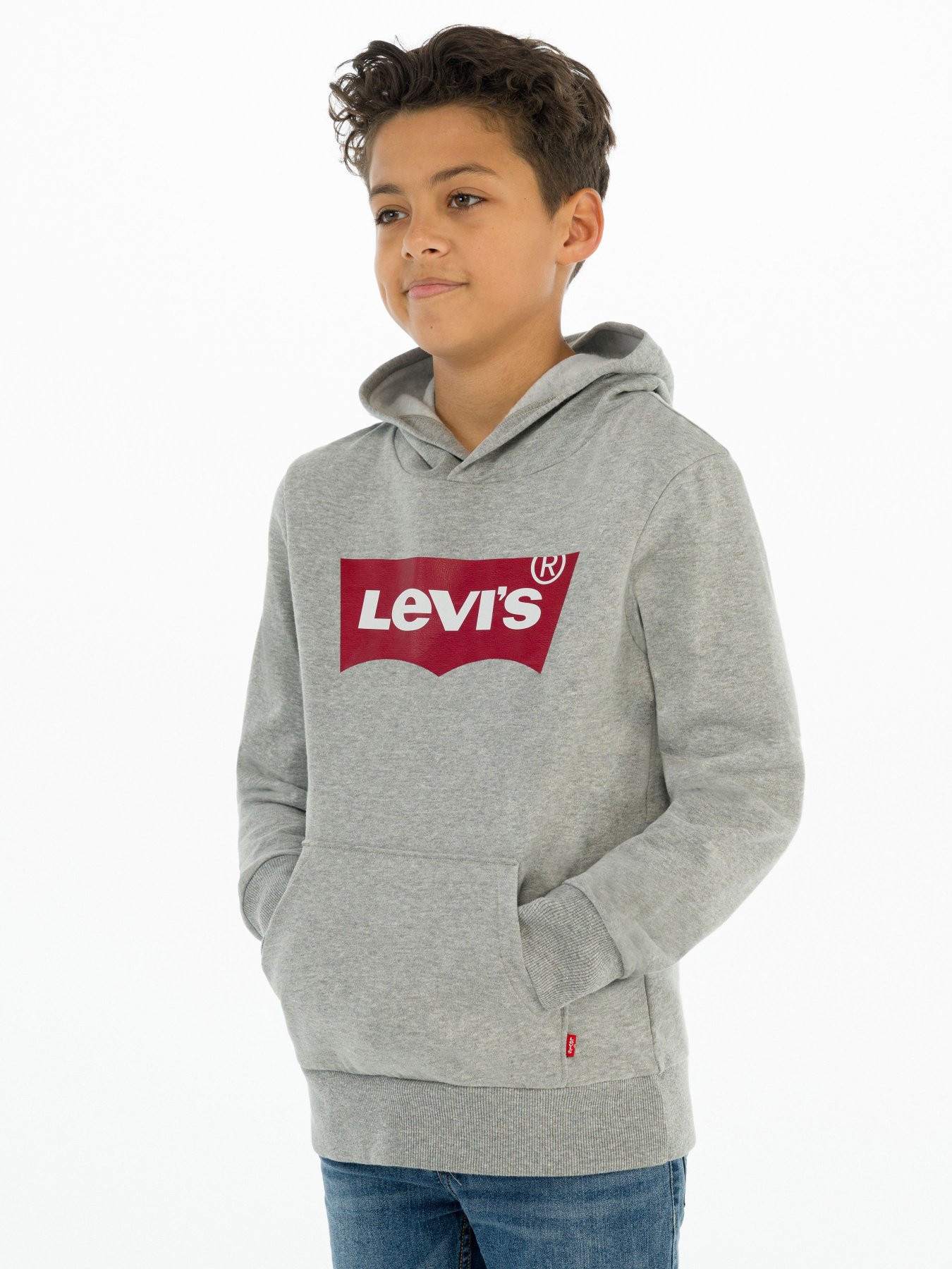 Худі Levi's Lvb-Batwing Screenprint Hoodie модель 9E8778-C87 Фото