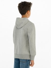 Худі Levi's Lvb-Batwing Screenprint Hoodie модель 9E8778-C87 Фото