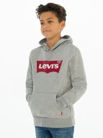 Худи Levi's Lvb-Batwing Screenprint Hoodie модель 9E8778-C87 Фото