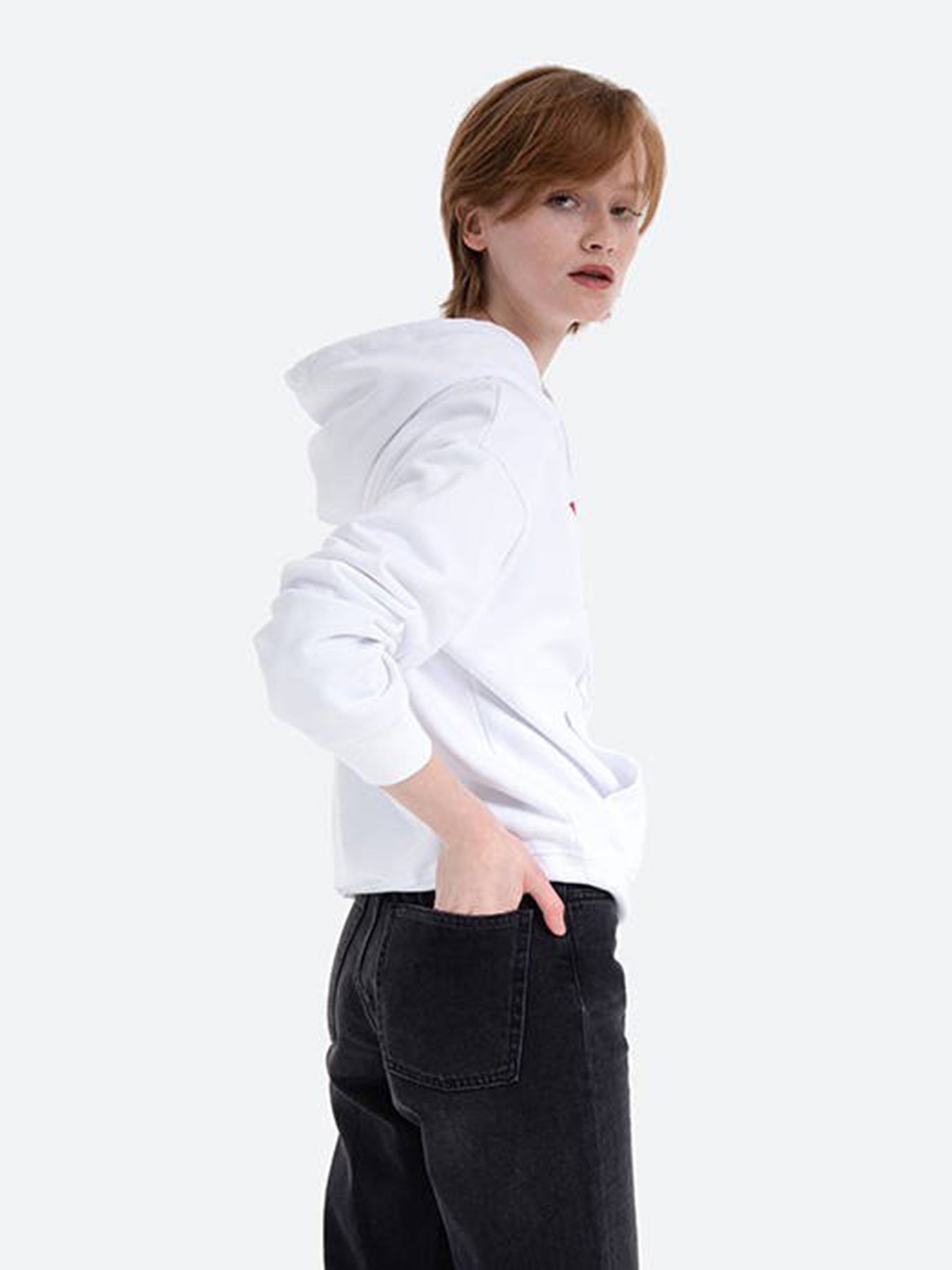 Худи Levi's GRAPHIC STANDARD модель 18487;0024 Фото