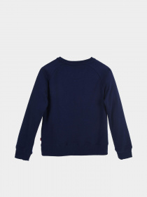 Свитшот Levi's Batwing Crewneck модель 4E6660-B9G Фото