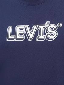 Футболка Levi's Ss Relaxed Fit Drop Shadow модель 16143;1340 Фото