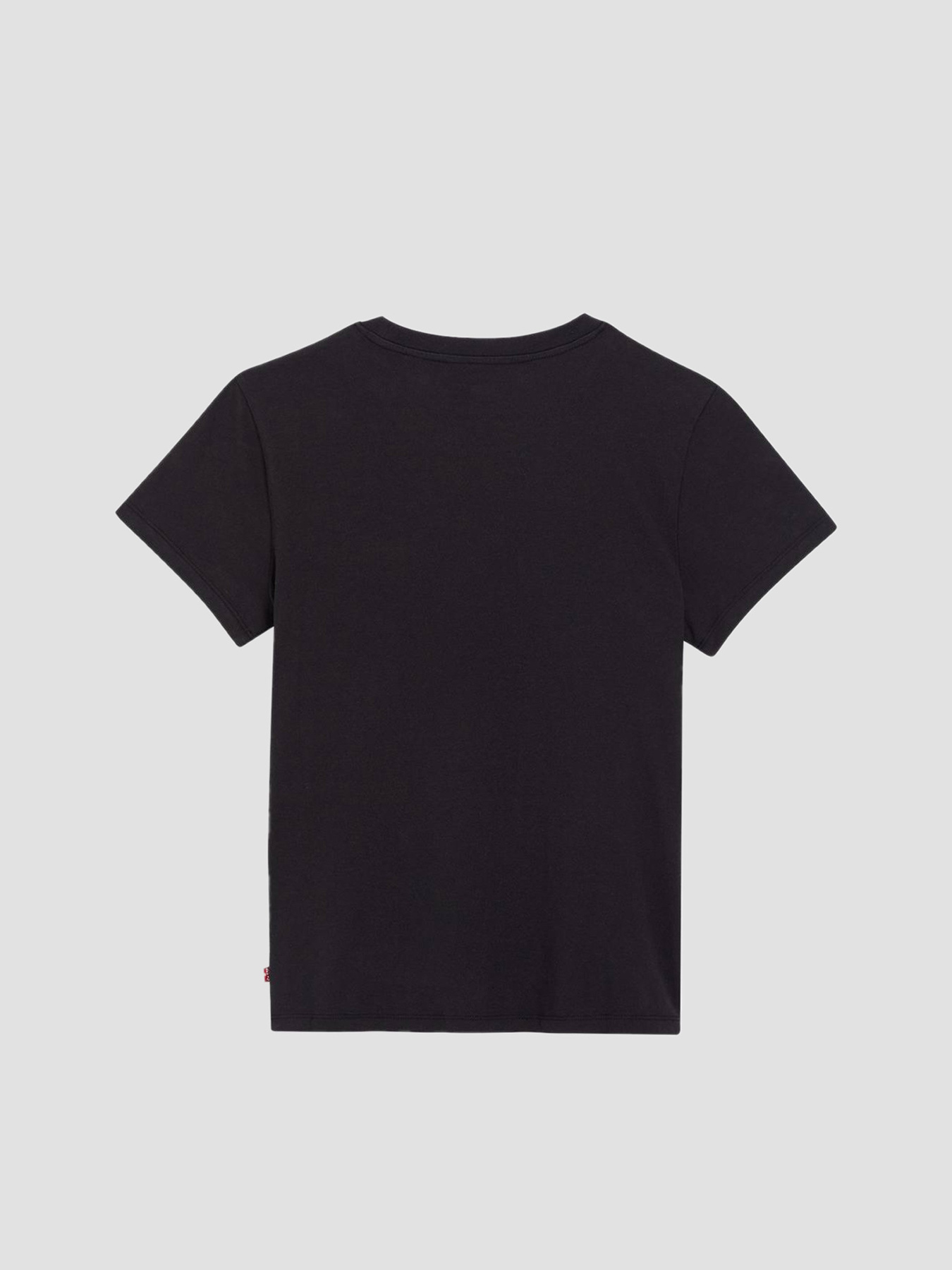 Футболка Levi's The Perfect Mini Bw Scenic модель 17369;2447 Фото