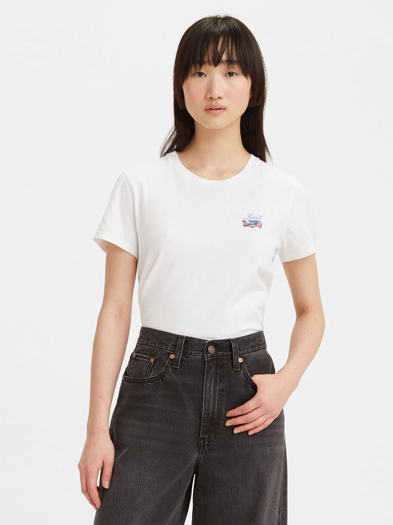 Футболка Levi's The Perfect Mini Bw Scenic модель 17369;2448 Футболка Levi's The Perfect Mini Bw Scenic модель 17369;2448 Фото