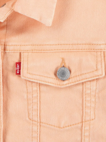 Джинсова куртка Levi's модель 4EK106-N74 Фото