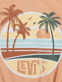 Футболка Levi's модель 4EK164-N74 Фото