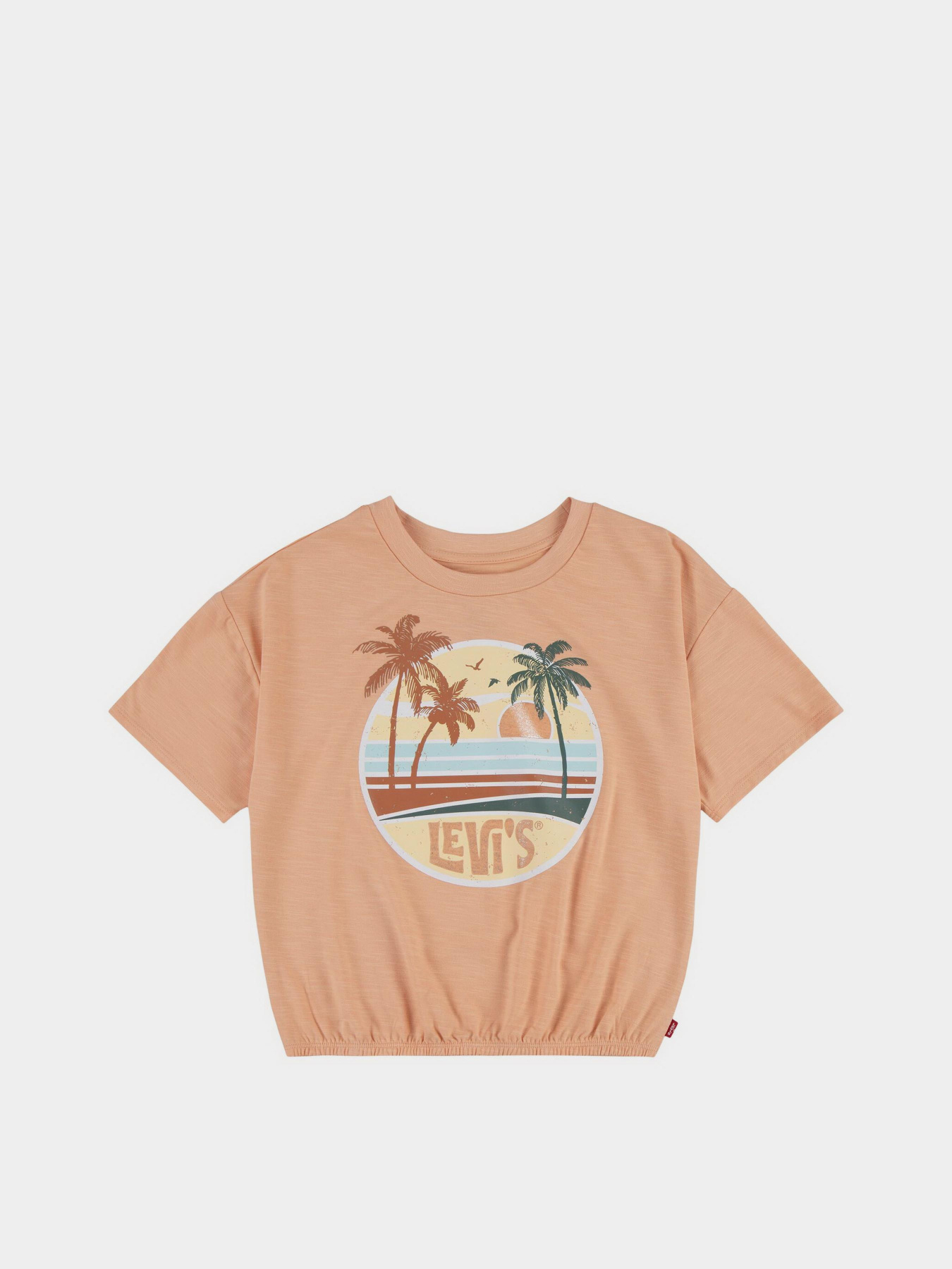 Футболка Levi's модель 4EK164-N74 Фото