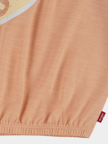 Футболка Levi's модель 4EK164-N74 Фото