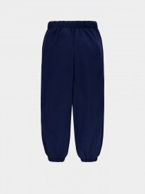 Штаны спортивные Levi's Benchwarmer модель 4ED527-B4M Фото