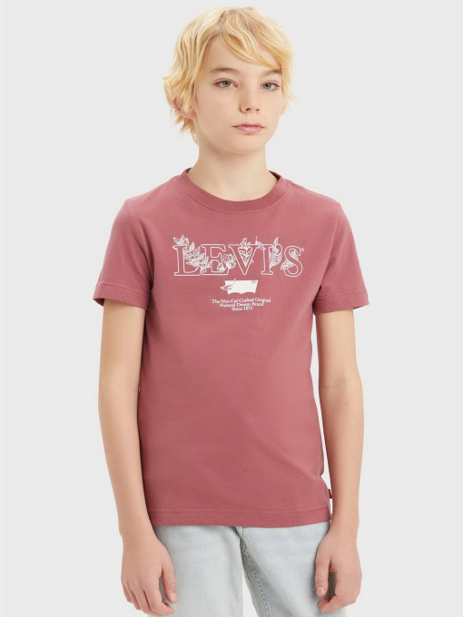 Футболка Levi's модель 9EK361-R90 Фото