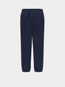 Штани спортивні Levi's Модель 8EJ763-C8D Фото