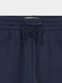 Штани спортивні Levi's Модель 8EJ763-C8D Фото