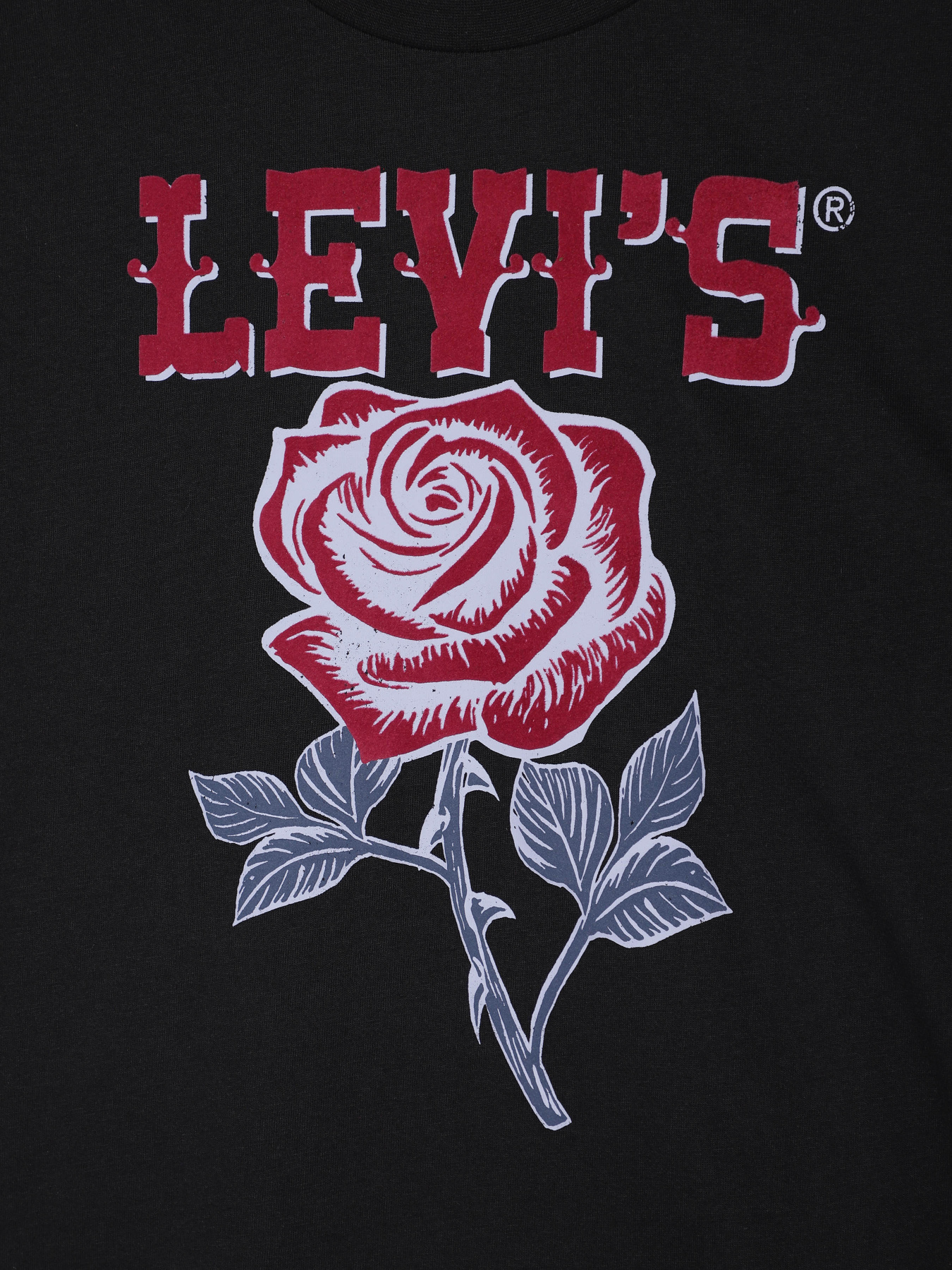 Футболка Levi's модель 4EL553-G52 Фото