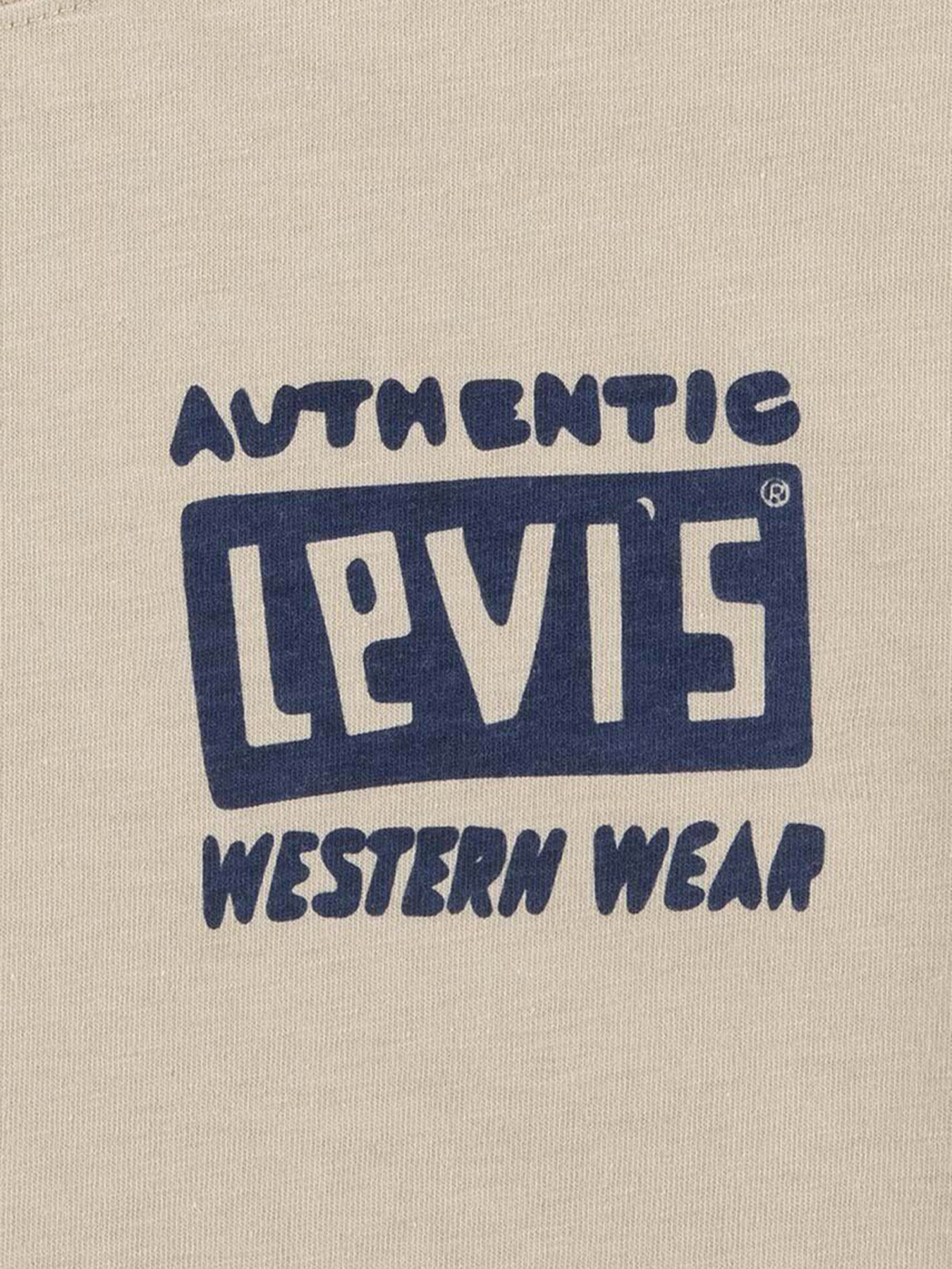 Футболка Levi's модель 9EL458-A20 Фото