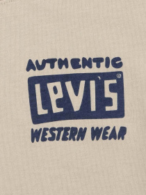 Футболка Levi's модель 9EL458-A20 Фото