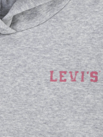 Худі Levi's модель 4EL076-G2H Фото