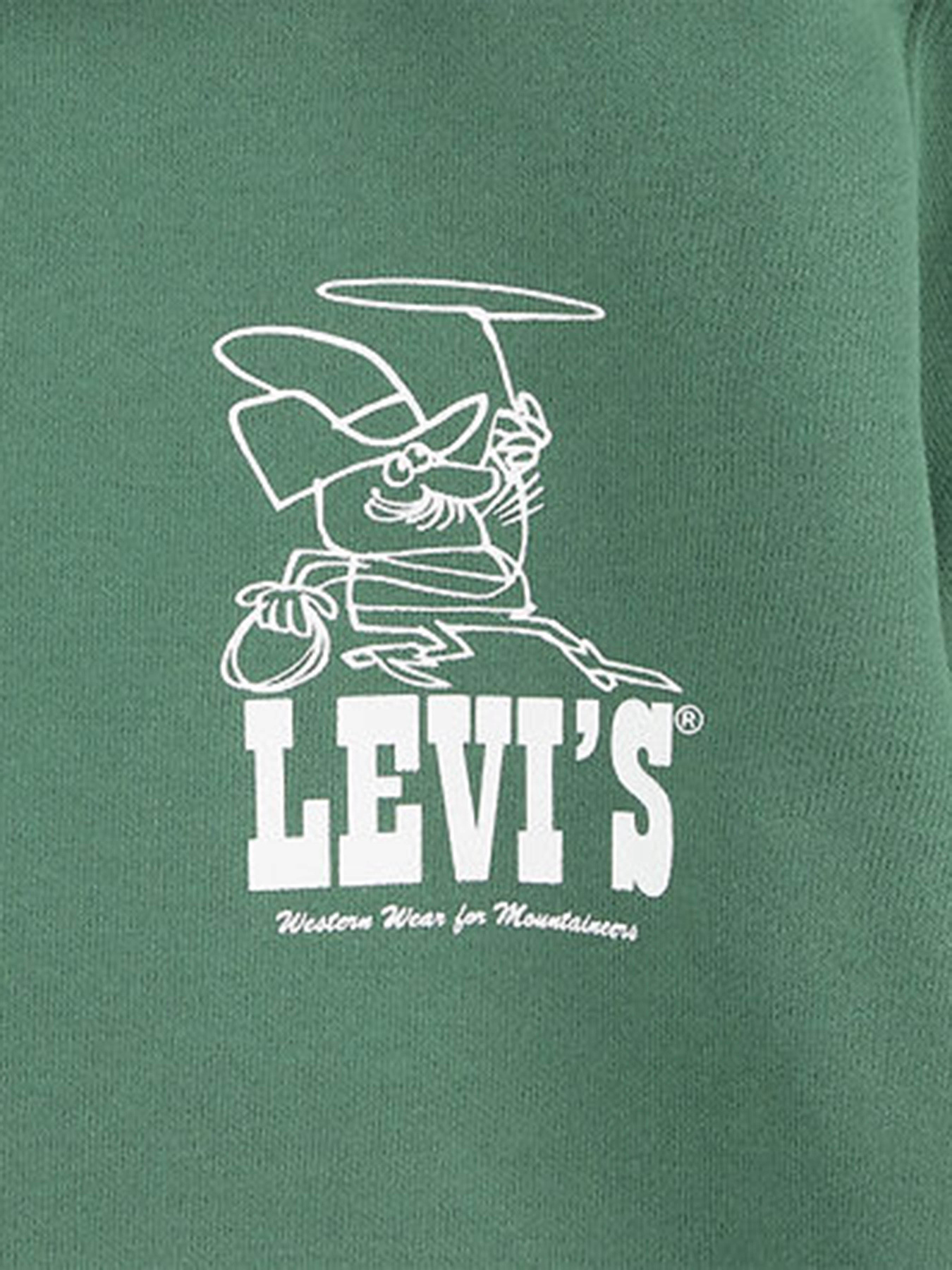 Худі Levi's модель 8EL509-EHX Фото