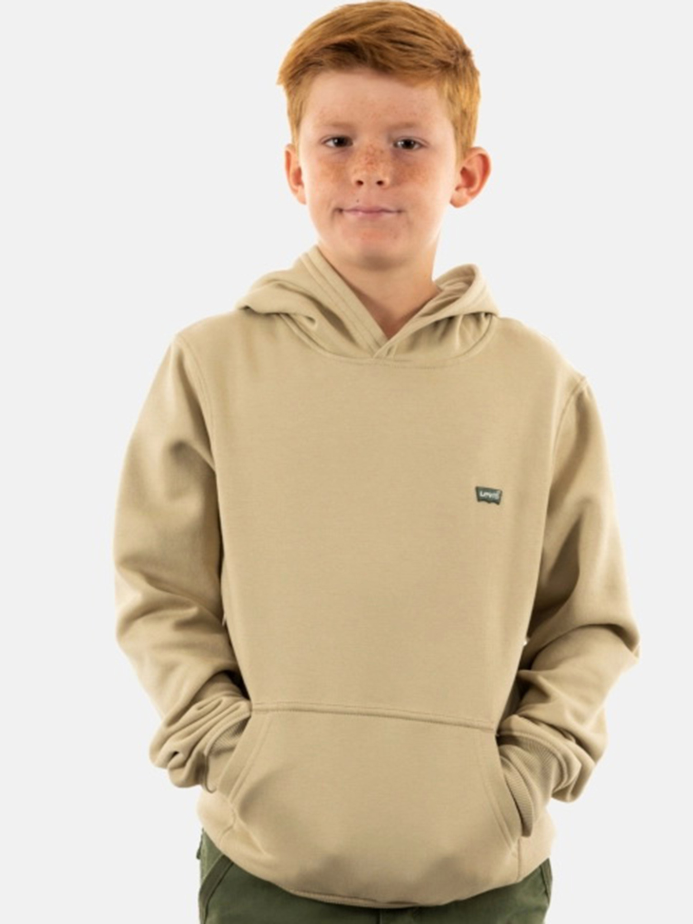 Худі Levi's модель 9EL452-A20 Фото