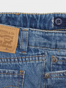 Шорты джинсовые Levi's Girlfriend Shorty модель 4E4536-MA3 Фото