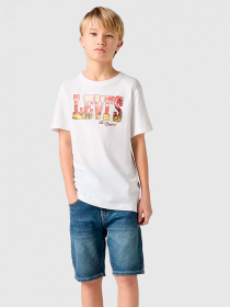 Шорты джинсовые Levi's модель 9EM374-DC3 Фото