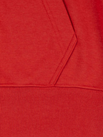 Худі Levi's модель 9EK422-R58 Фото