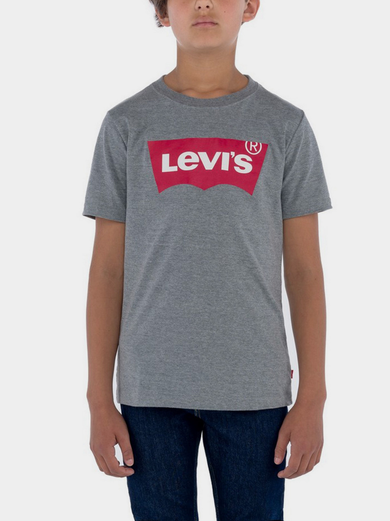 Футболка Levi's Batwing модель 9E8157-C87 Фото