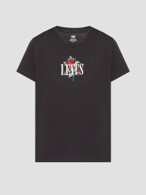 Футболка Levi's модель A8804;0066 Фото