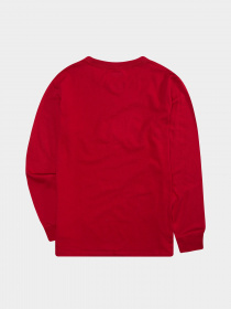 Свитшот Levi's Ls Batwing Tee модель 9E8646-R86 Фото