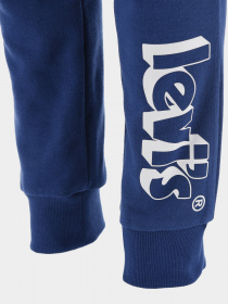 Штаны спортивные Levi's модель 9EE449-U29 Фото