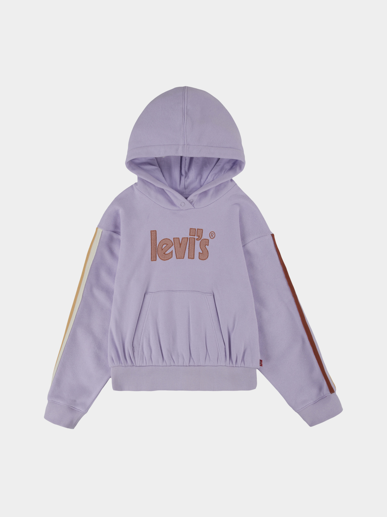 Худи Levi's LVG модель 4EF631-P4N Фото