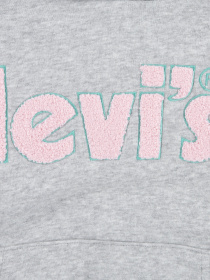 Худи Levi's LVG модель 3EF631-G2H Фото