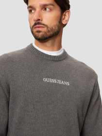 Джемпер Guess Jeans модель M4BR31.Z3HM1;H91E Фото