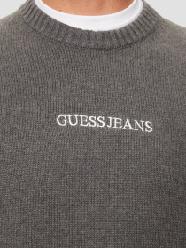 Джемпер Guess Jeans модель M4BR31.Z3HM1;H91E Фото