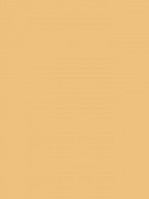 FIT ME Maybelline New York модель 3600531384159 Фото