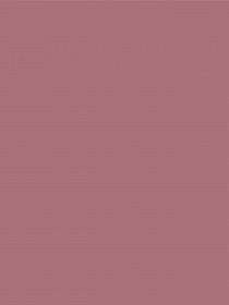 COLOR SENSATIONAL Maybelline New York модель 3600530559398 Фото