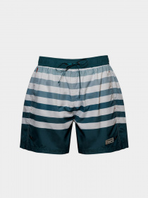 Шорты для плавания Marc & Andre модель MS21-02-grn Фото