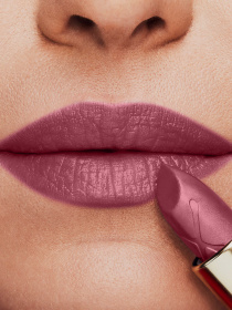 Помада увлажняющая Colour Elixir Moisture Lipstick MAX FACTOR модель 3614227902176 Фото